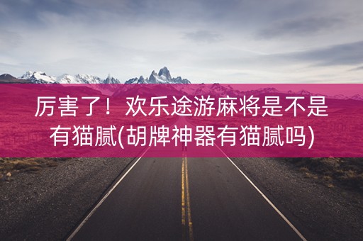 厉害了！欢乐途游麻将是不是有猫腻(胡牌神器有猫腻吗)