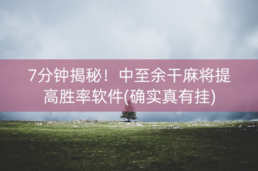 7分钟揭秘！中至余干麻将提高胜率软件(确实真有挂)