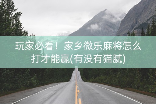 玩家必看！家乡微乐麻将怎么打才能赢(有没有猫腻)