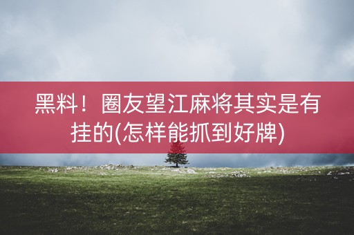 黑料！圈友望江麻将其实是有挂的(怎样能抓到好牌)