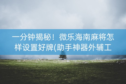 一分钟揭秘！微乐海南麻将怎样设置好牌(助手神器外辅工具)