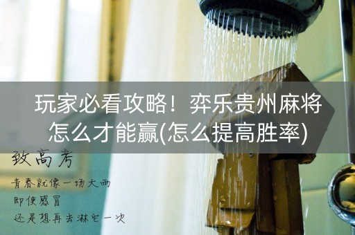 玩家必看攻略！弈乐贵州麻将怎么才能赢(怎么提高胜率)