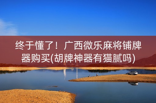 终于懂了！广西微乐麻将铺牌器购买(胡牌神器有猫腻吗)