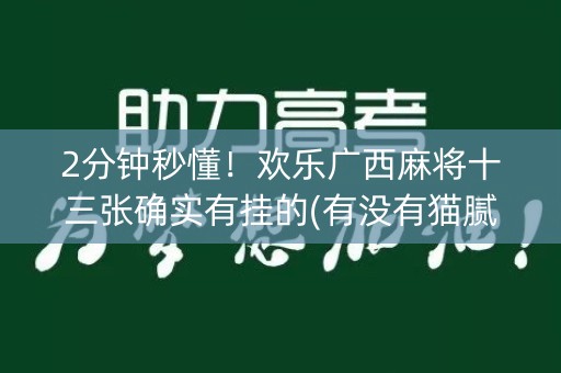 2分钟秒懂！欢乐广西麻将十三张确实有挂的(有没有猫腻)
