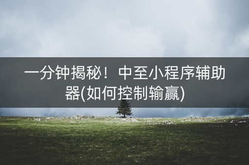 一分钟揭秘！中至小程序辅助器(如何控制输赢)