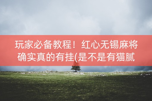 玩家必备教程！红心无锡麻将确实真的有挂(是不是有猫腻)