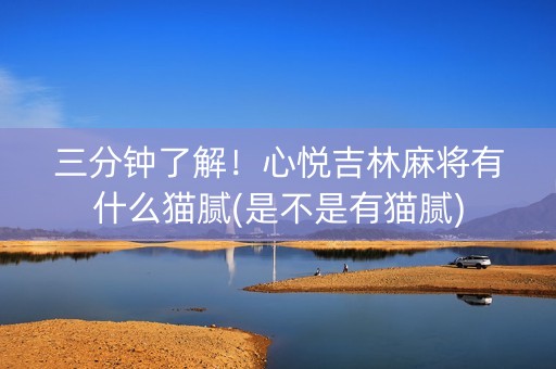 三分钟了解！心悦吉林麻将有什么猫腻(是不是有猫腻)