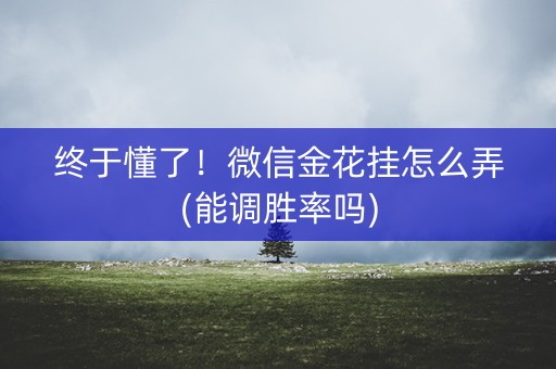 终于懂了！微信金花挂怎么弄(能调胜率吗)