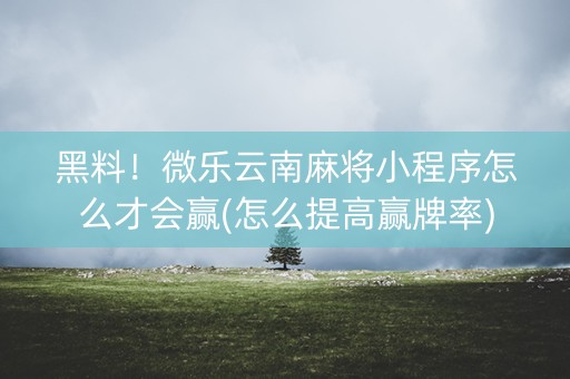 黑料！微乐云南麻将小程序怎么才会赢(怎么提高赢牌率)