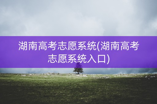 湖南高考志愿系统(湖南高考志愿系统入口)
