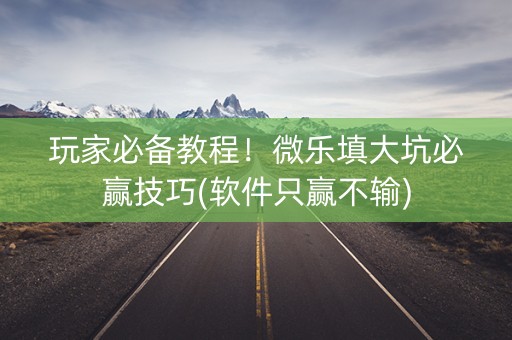 玩家必备教程！微乐填大坑必赢技巧(软件只赢不输)