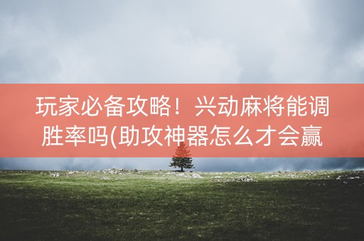 玩家必备攻略！兴动麻将能调胜率吗(助攻神器怎么才会赢)
