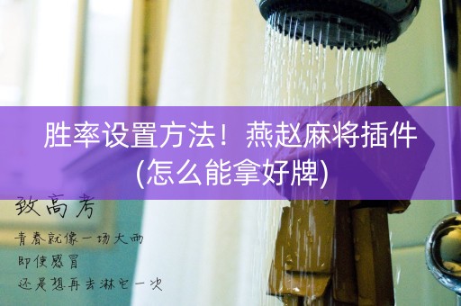 胜率设置方法！燕赵麻将插件(怎么能拿好牌)