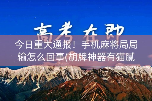 今日重大通报！手机麻将局局输怎么回事(胡牌神器有猫腻吗)