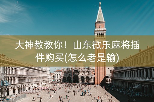 大神教教你！山东微乐麻将插件购买(怎么老是输)