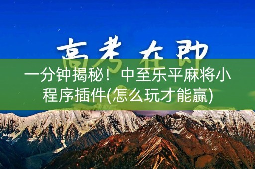 一分钟揭秘！中至乐平麻将小程序插件(怎么玩才能赢)