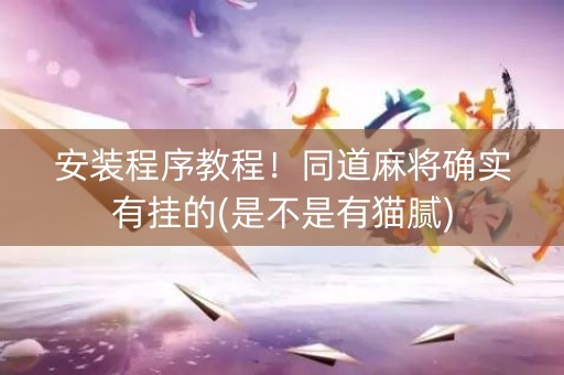 安装程序教程！同道麻将确实有挂的(是不是有猫腻)