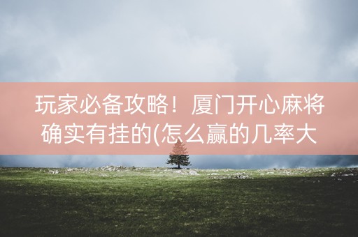 玩家必备攻略！厦门开心麻将确实有挂的(怎么赢的几率大)