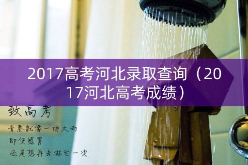 2017高考河北录取查询（2017河北高考成绩）