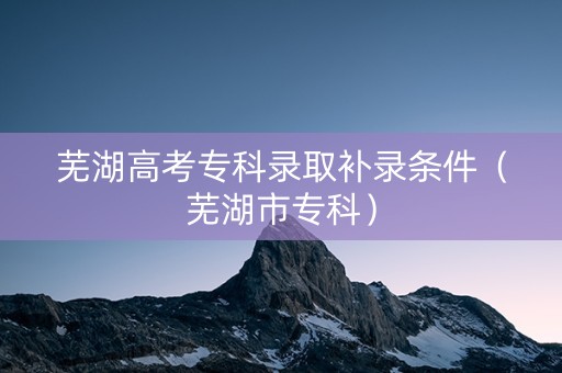 芜湖高考专科录取补录条件（芜湖市专科）