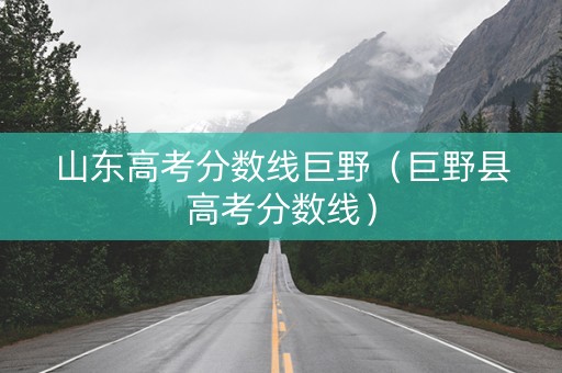 山东高考分数线巨野（巨野县高考分数线）