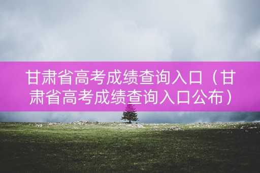 甘肃省高考成绩查询入口（甘肃省高考成绩查询入口公布）