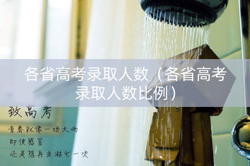 各省高考录取人数（各省高考录取人数比例）