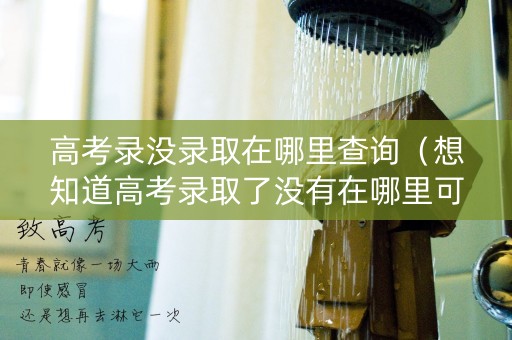 高考录没录取在哪里查询（想知道高考录取了没有在哪里可以查）