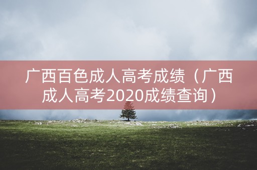 广西百色成人高考成绩（广西成人高考2020成绩查询）
