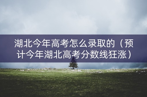 湖北今年高考怎么录取的（预计今年湖北高考分数线狂涨）