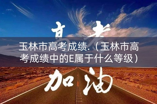 玉林市高考成绩.（玉林市高考成绩中的E属于什么等级）