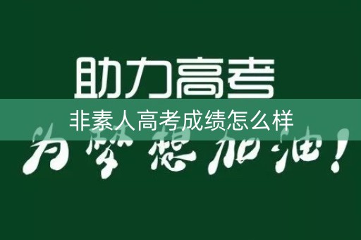 非素人高考成绩怎么样