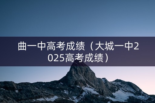 曲一中高考成绩（大城一中2025高考成绩）