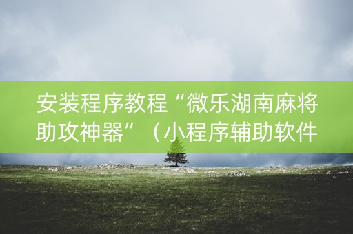 安装程序教程“微乐湖南麻将助攻神器”（小程序辅助软件)