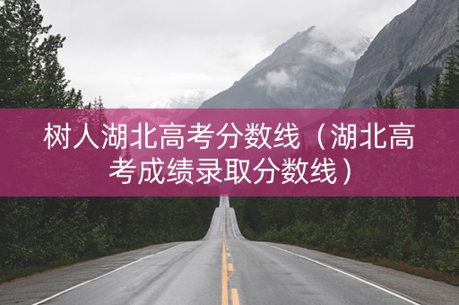 树人湖北高考分数线（湖北高考成绩录取分数线）