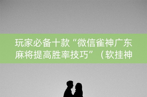 玩家必备十款“微信雀神广东麻将提高胜率技巧”（软挂神器)