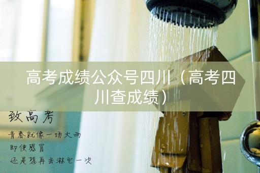 高考成绩公众号四川（高考四川查成绩）