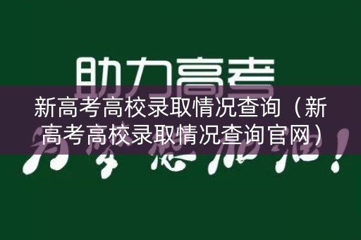 新高考高校录取情况查询（新高考高校录取情况查询官网）