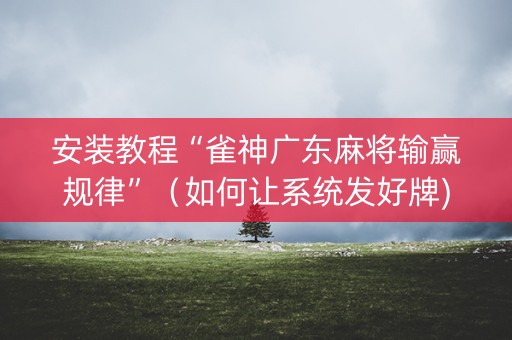 安装教程“雀神广东麻将输赢规律”（如何让系统发好牌)