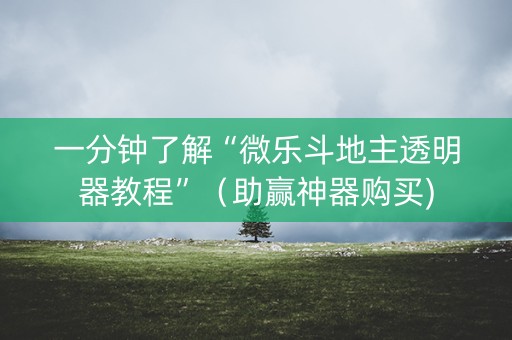 一分钟了解“微乐斗地主透明器教程”（助赢神器购买)