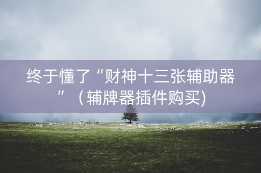 终于懂了“财神十三张辅助器”（辅牌器插件购买)