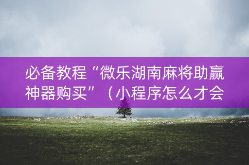 必备教程“微乐湖南麻将助赢神器购买”（小程序怎么才会赢)