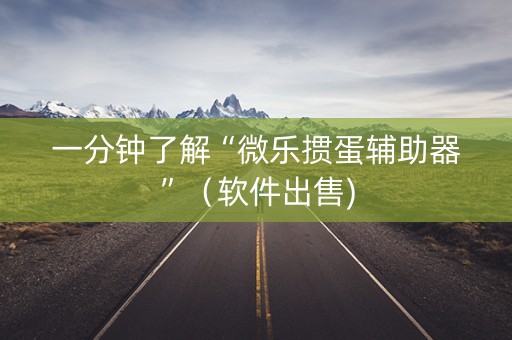 一分钟了解“微乐掼蛋辅助器”（软件出售)