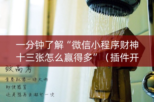 一分钟了解“微信小程序财神十三张怎么赢得多”（插件开挂免费AI)