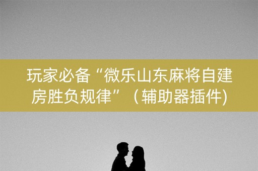 玩家必备“微乐山东麻将自建房胜负规律”（辅助器插件)