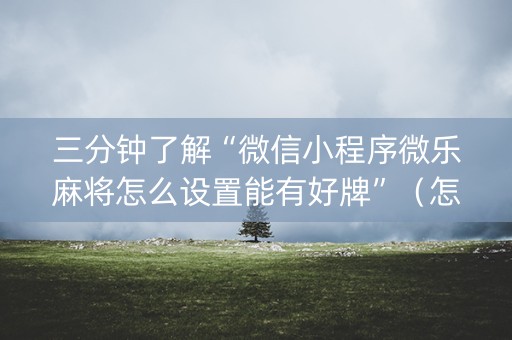 三分钟了解“微信小程序微乐麻将怎么设置能有好牌”（怎么能调好牌)