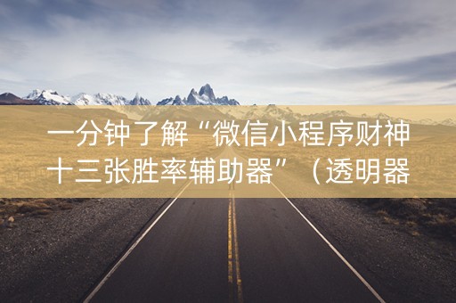 一分钟了解“微信小程序财神十三张胜率辅助器”（透明器教程)
