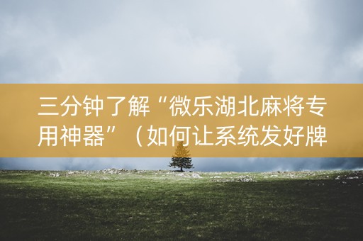 三分钟了解“微乐湖北麻将专用神器”（如何让系统发好牌)