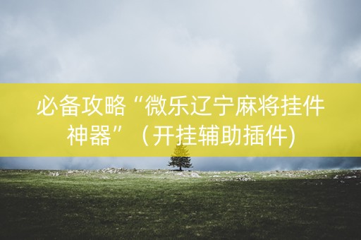 必备攻略“微乐辽宁麻将挂件神器”（开挂辅助插件)