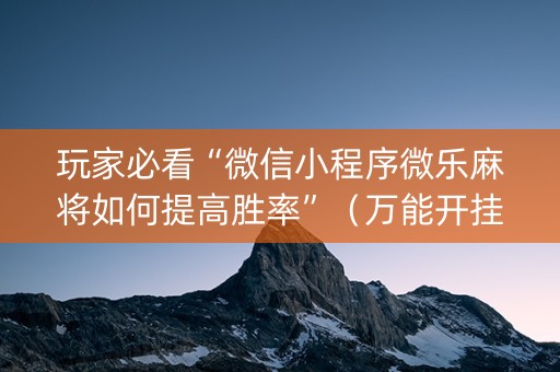 玩家必看“微信小程序微乐麻将如何提高胜率”（万能开挂器)